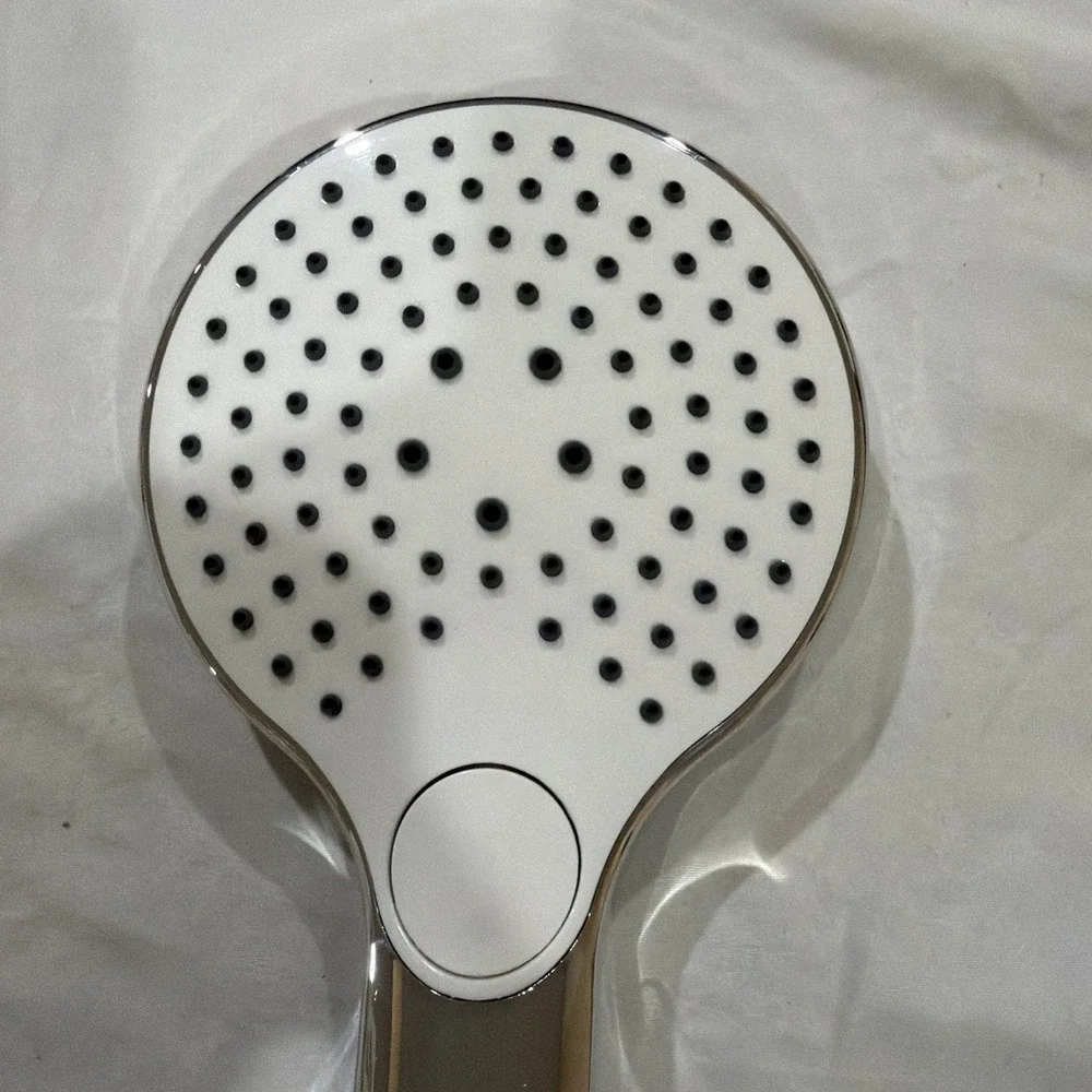 Signature Hardware Lowden Multi Function Hand Shower Polished Chrome SHHS4120GCP